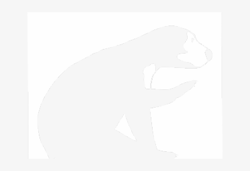 Bear, transparent png #1138160