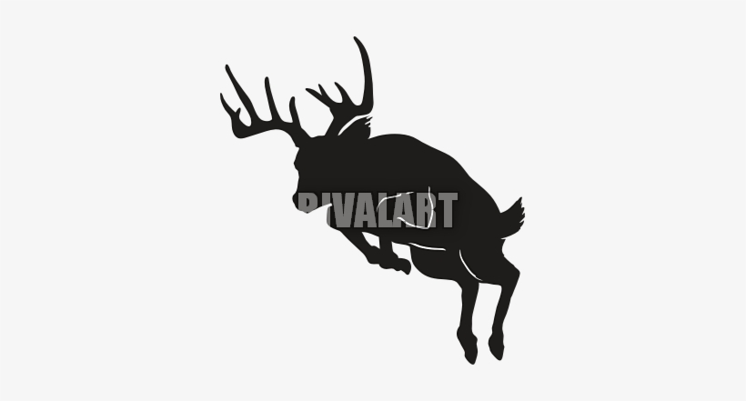Clipart Info - Whitetail Deer Silhouette Jumping, transparent png #1138237