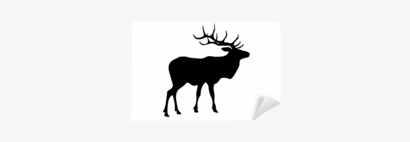 Deer, transparent png #1138644