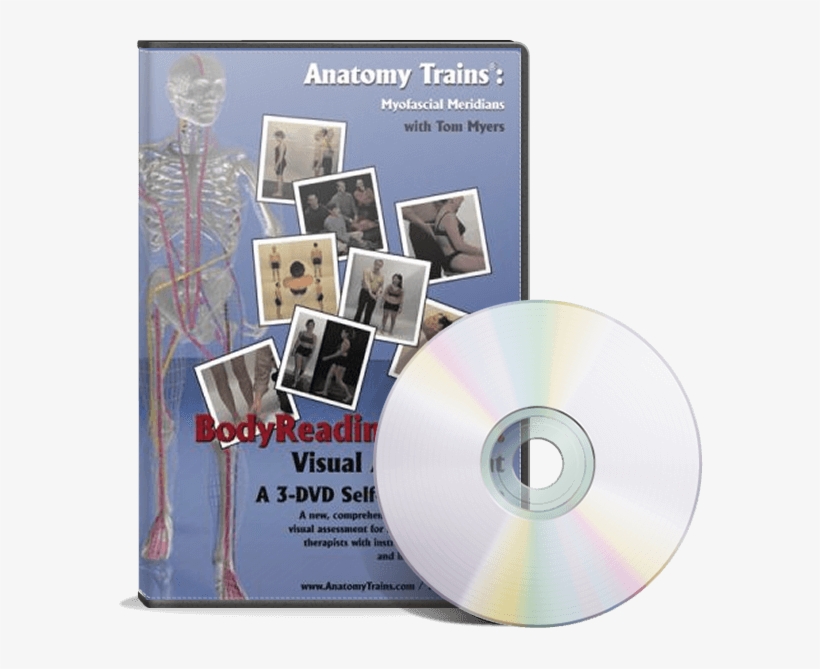Bodyreading - Dvd, transparent png #1138736