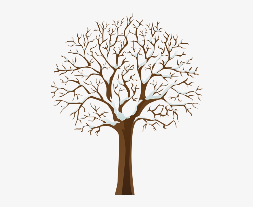 Snowy Winter Tree Transparent Png Image - Transparent Background Tree Logo Png, transparent png #1139050