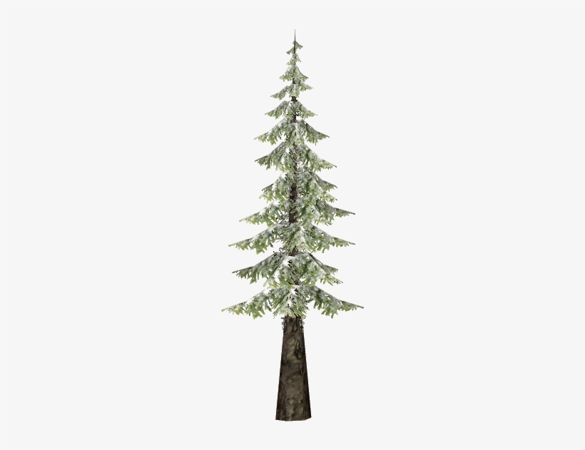 Snowy Black Spruce - Christmas Tree, transparent png #1139122