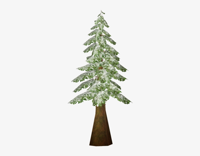 Snowy Red Cedar - Weinrebe Kaufen, transparent png #1139309