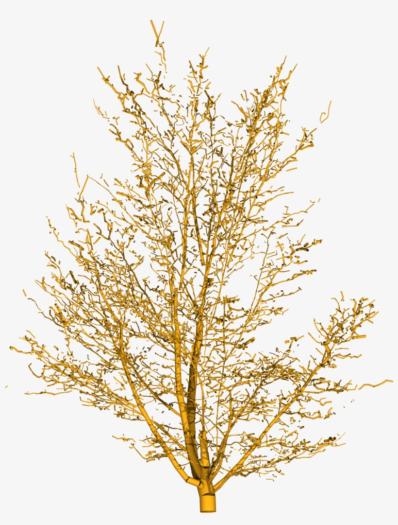 Tree Png Hd Image In Desert, transparent png #1139601