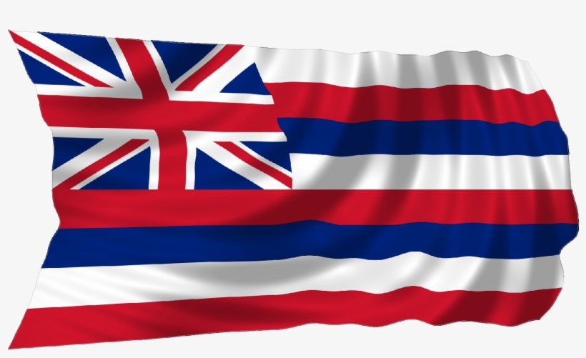 Hawaii Gubernatorial Candidates - Printable Flag Of Hawaii, transparent png #1140155