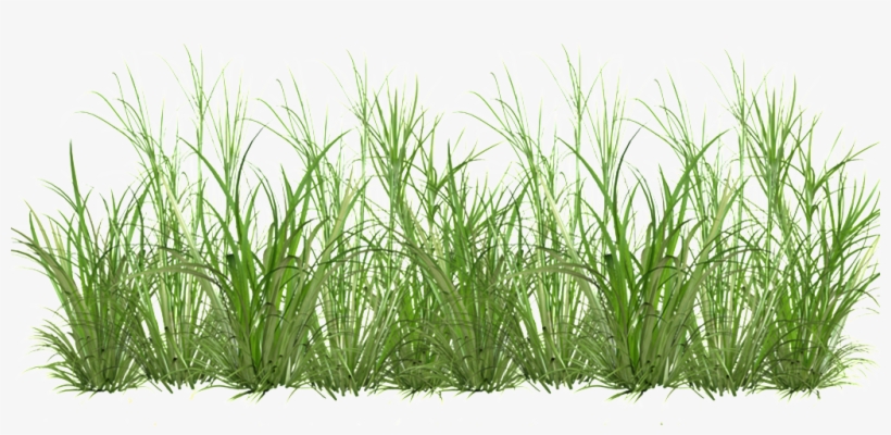 Grass Cartoon Transparent - Кусты Пнг, transparent png #1140236