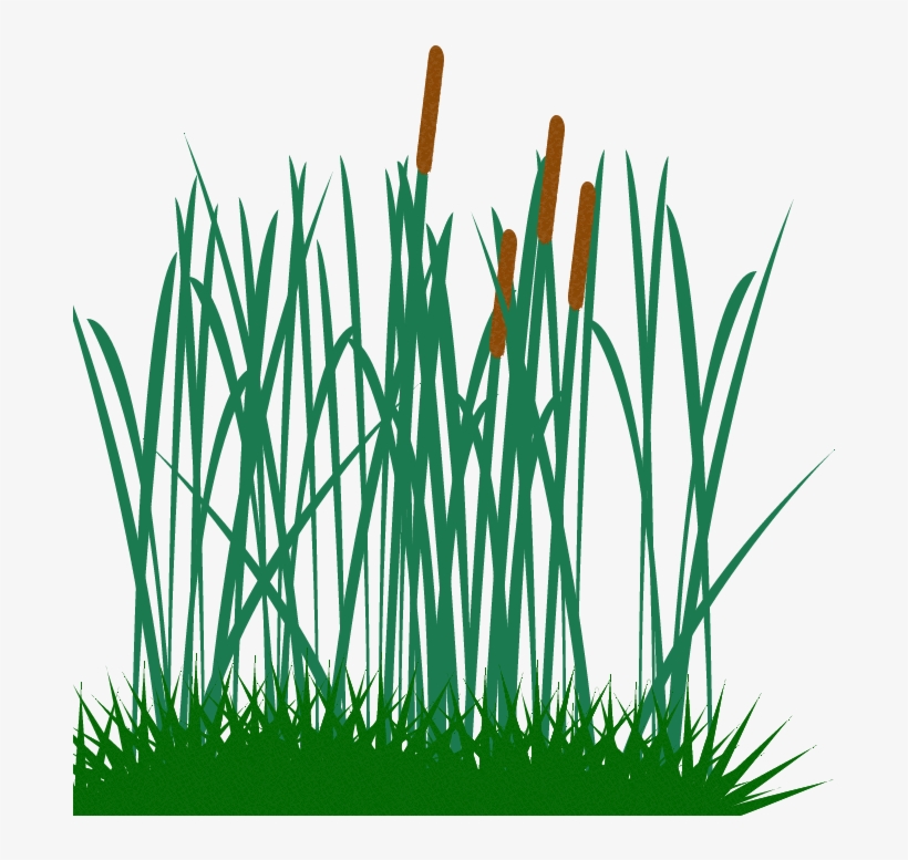 Clip Black And White Clip Art Png Free Icons And Backgrounds - Tall Grass Clip Art, transparent png #1140439