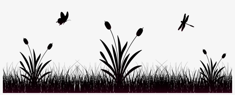 Clipart Freeuse Transprent Png Free Download Plant - Euclidean Vector, transparent png #1140571