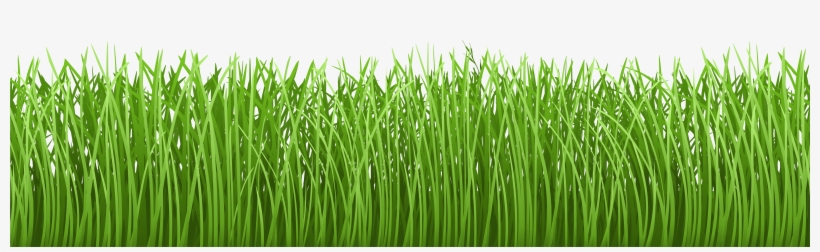 Grass Vector Png Download - Herbe Bas De Page, transparent png #1140643