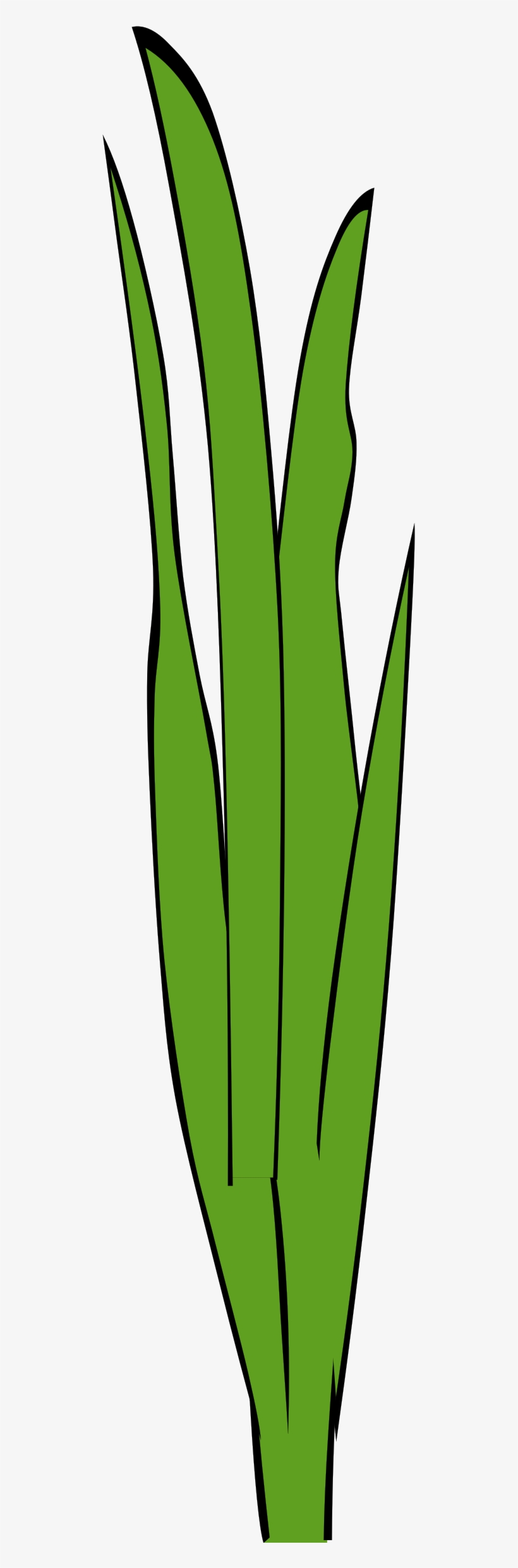 sea grass clipart animated