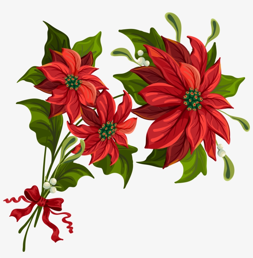Clip Arts Related To - Poinsettia Clipart Transparent, transparent png #1140940