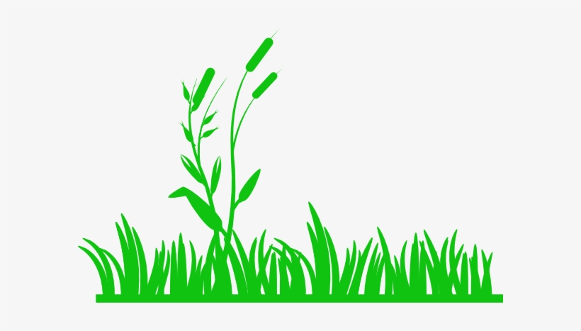 Png Transparent Library Green With Reeds Clip Art At - Meadow Clip Art, transparent png #1141360