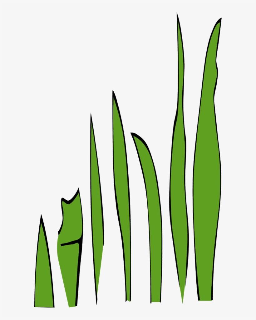 Grass Blades And Clumps - Grass Clip Art, transparent png #1141364