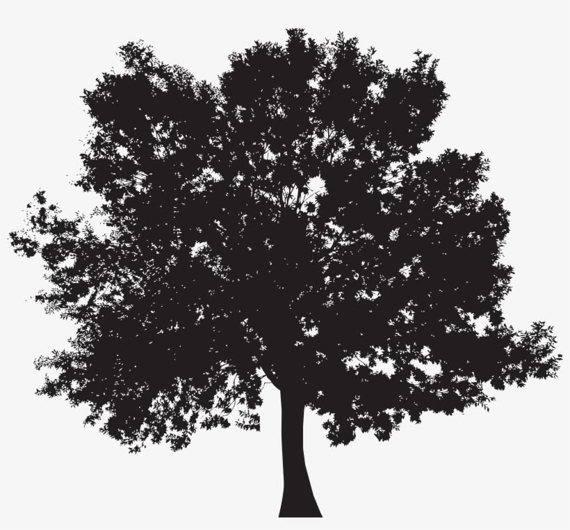 Tree Silhouette Png Clip Art, transparent png #1141853
