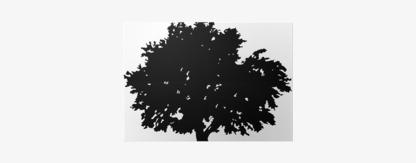 Large Black Oak Tree Silhouette On White Poster • Pixers® - Silhouette, transparent png #1141899