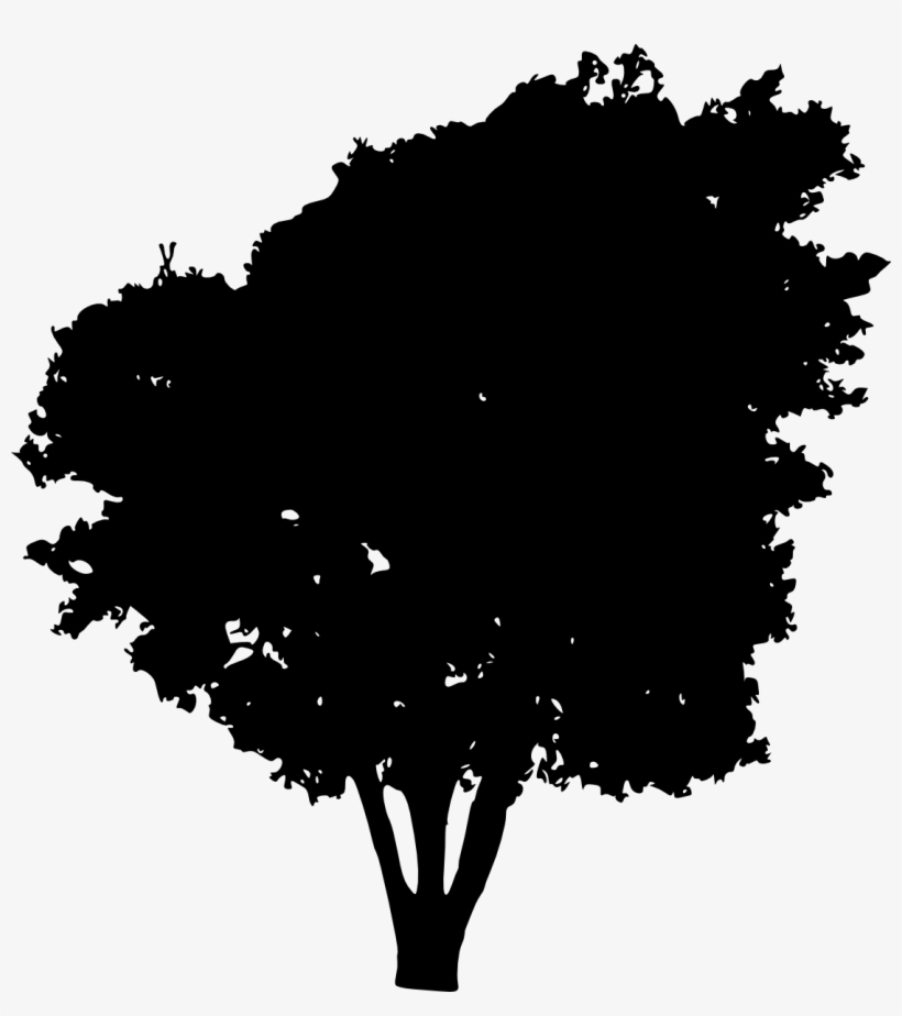 Free Download - شجر اسود, transparent png #1141924
