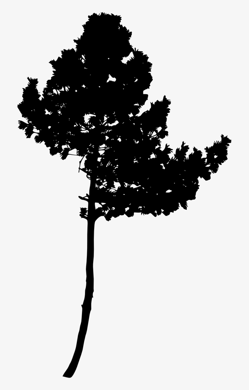 Free Download - Silhouette, transparent png #1141955