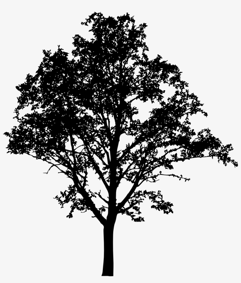 Free Download - Portable Network Graphics, transparent png #1142004