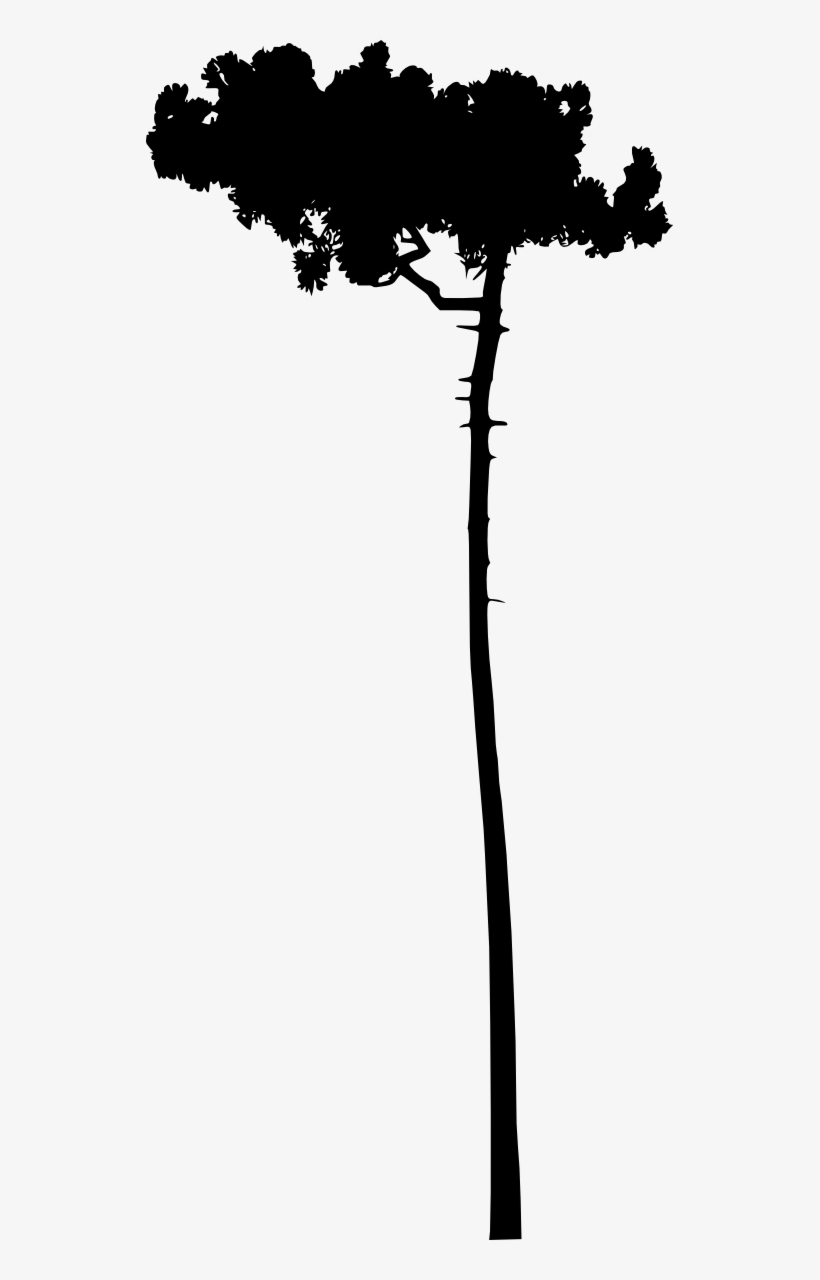 Free Download - Silhouette, transparent png #1142030