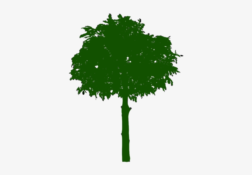 Oak Tree Silhouette Clipart - Icone Arvore, transparent png #1142334