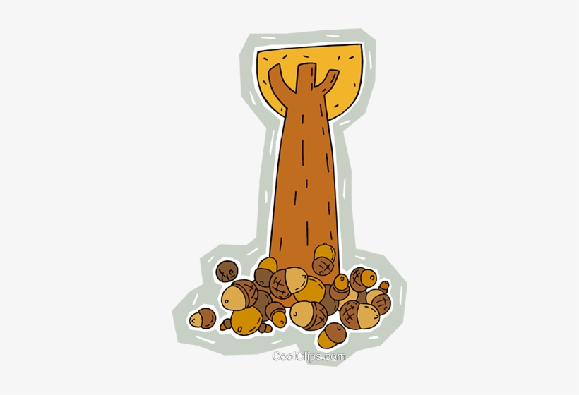 Clip Art Acorns Beneath A Tall Oak Tree Royalty Free, transparent png #1142868