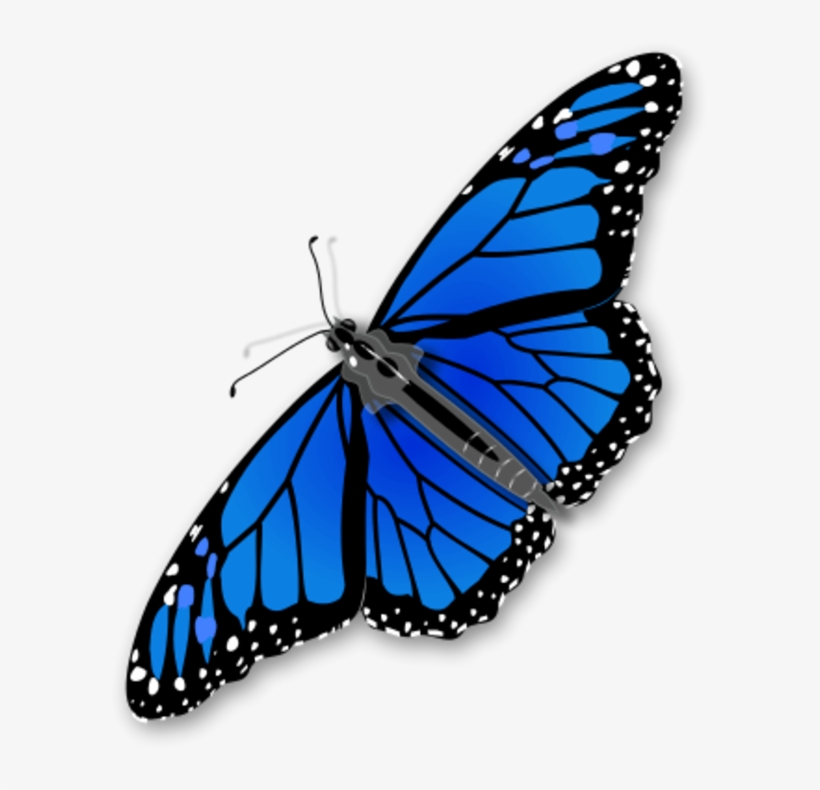 Large Monarch Butterfly 0 6281 - Blue Monarch Butterfly Clipart, transparent png #1142951