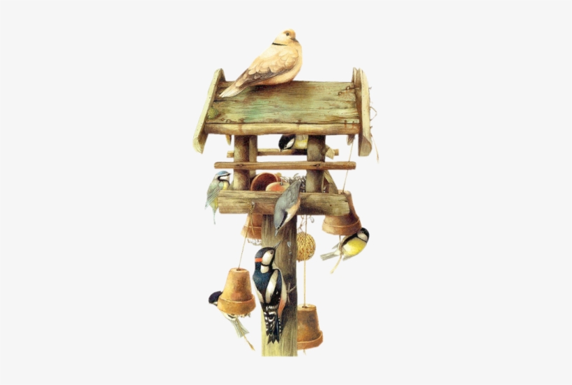 Dieren Painting Page 3, Birds, Psp, Animals, Blog, - More Cute Psp Tubes With Transparent Background, transparent png #1143410