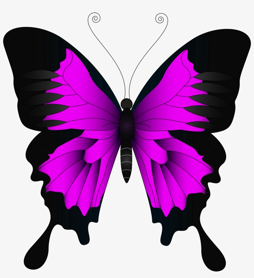 Numbers Clipart Butterfly - Papilio Ulysses, transparent png #1144012