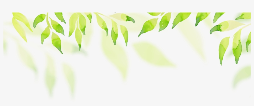 Header Leaf Green - Header Background Image Png Html, transparent png #1144233