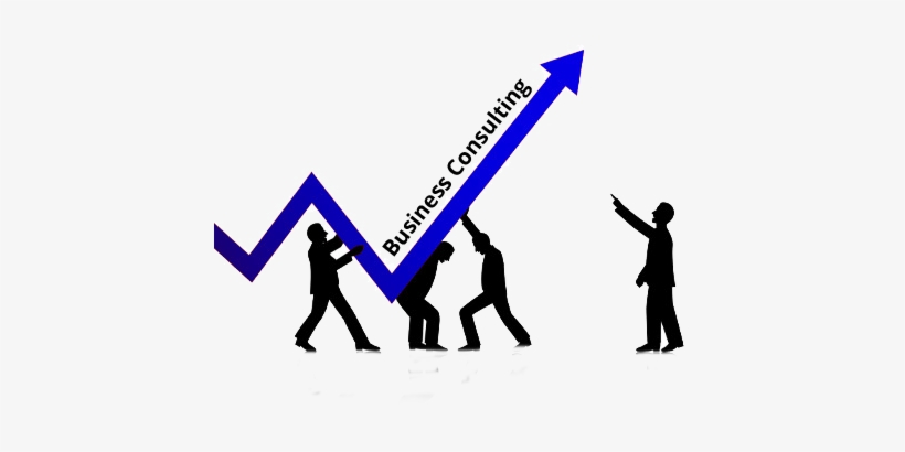 Consulting Business Copy - Order Principle Of Management, transparent png #1144491