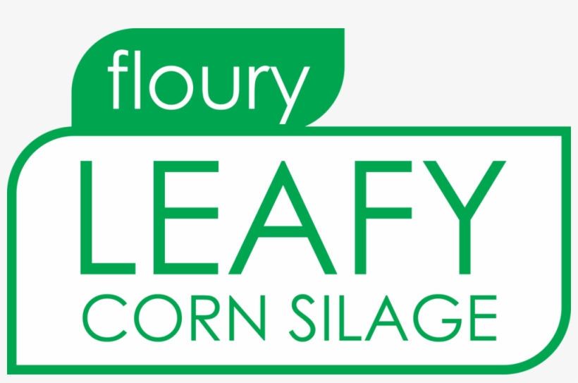 Floury Leafy Corn Silage - Eat Good Food, transparent png #1144494