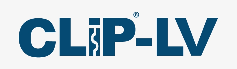 Clip-lv - Graphic Design, transparent png #1144970