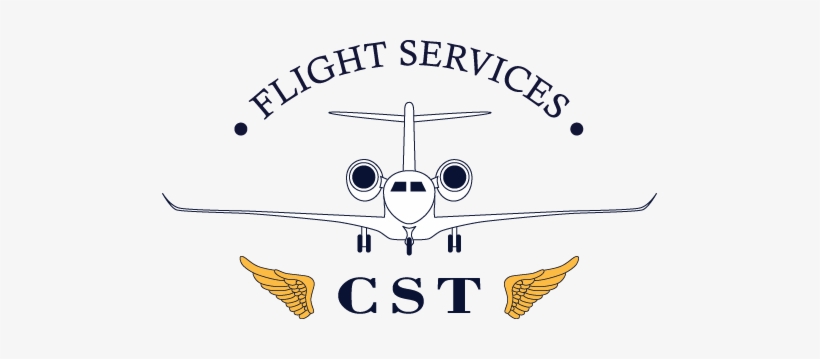 Caribbean Sky Tours Flight Services Logo - Midnight Oil Mtv Unplugged, transparent png #1145014