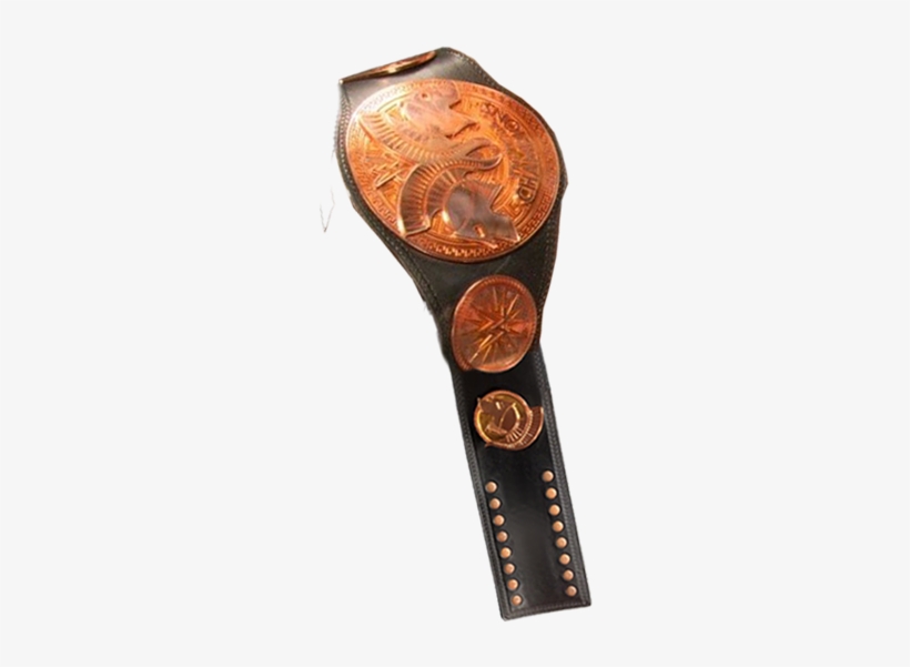 Champion Para Hombro By - Wwe Tag Team Championship Png, transparent png #1145571