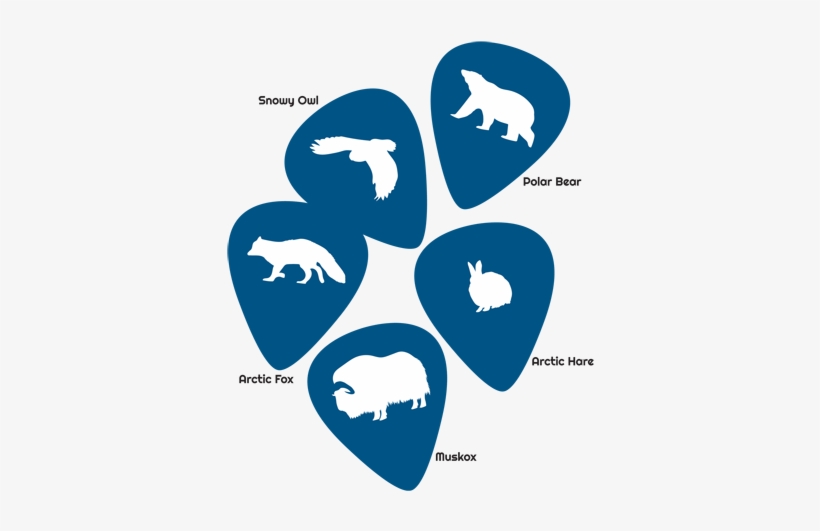 Artic Guitar Picks - Emblem, transparent png #1145802