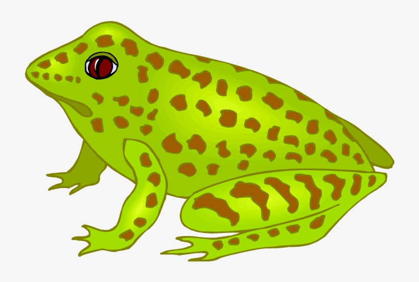 Free Frog Clipart - Spotted Frog Clipart, transparent png #1146954