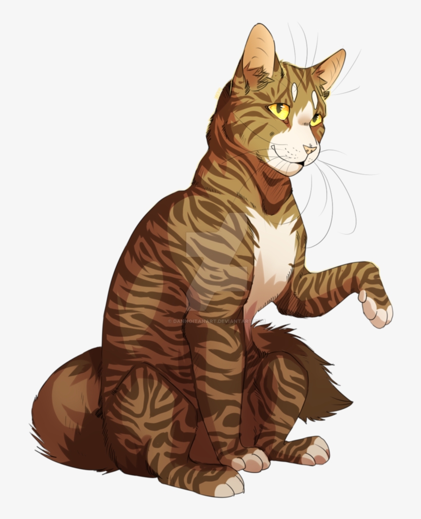 Leafpool By Dannoitanart - Warrior Cats Brown Tabby, transparent png #1147097