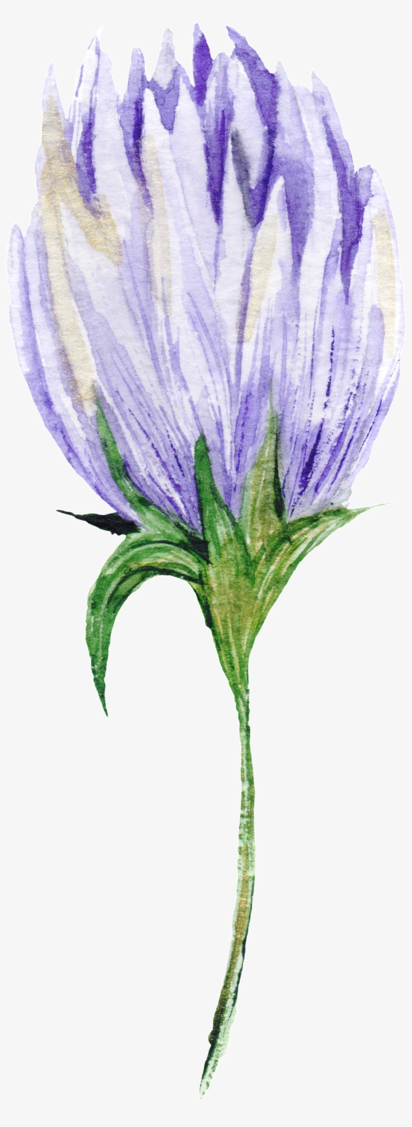 Candid Flower Branch Transparent Decorative - Purple, transparent png #1147563