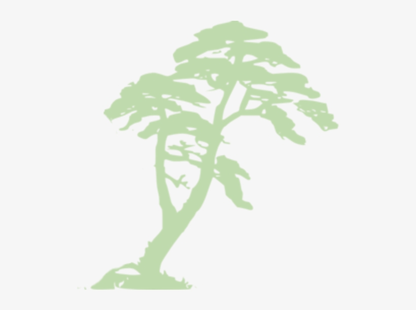 Rainforest Clipart Rainforest Vector Free Transparent Png Download Pngkey Rainforest Clipart Rainforest Vector Free Transparent Png Download Pngkey