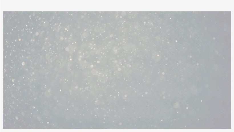 Products - Snow, transparent png #1147665