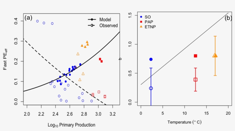 Particle Export And Transfer Efficiency To The Deep - Carbon Cycle, transparent png #1147666
