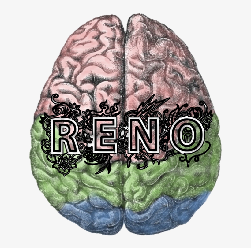 The Reno Brain Trust - Cortex Cerebral, transparent png #1148865