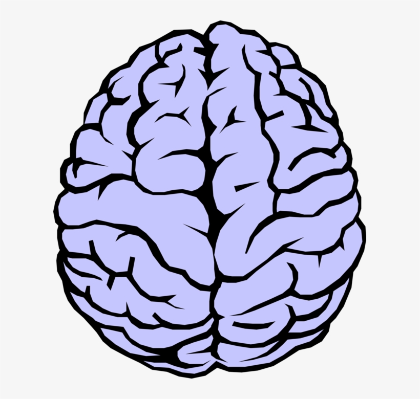 Vector Illustration Of The Human Brain - Brain Clipart, transparent png #1149235