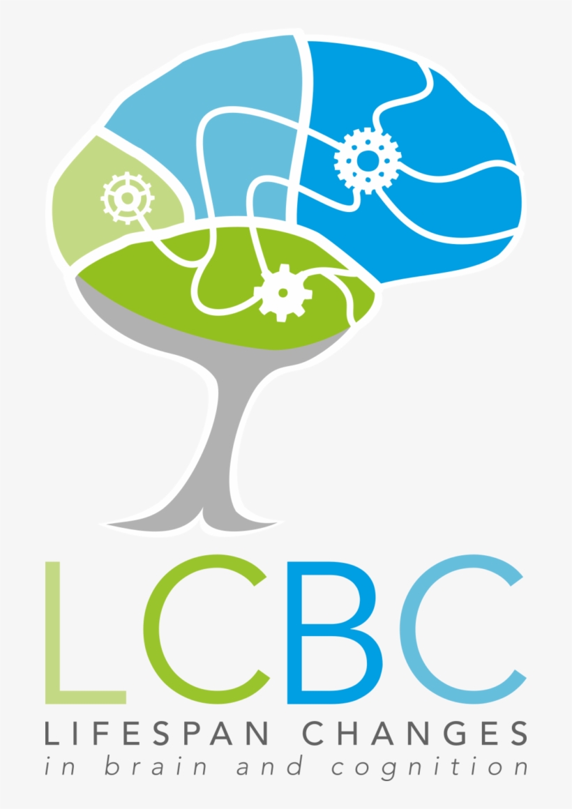 Brain And Cognition, transparent png #1149527