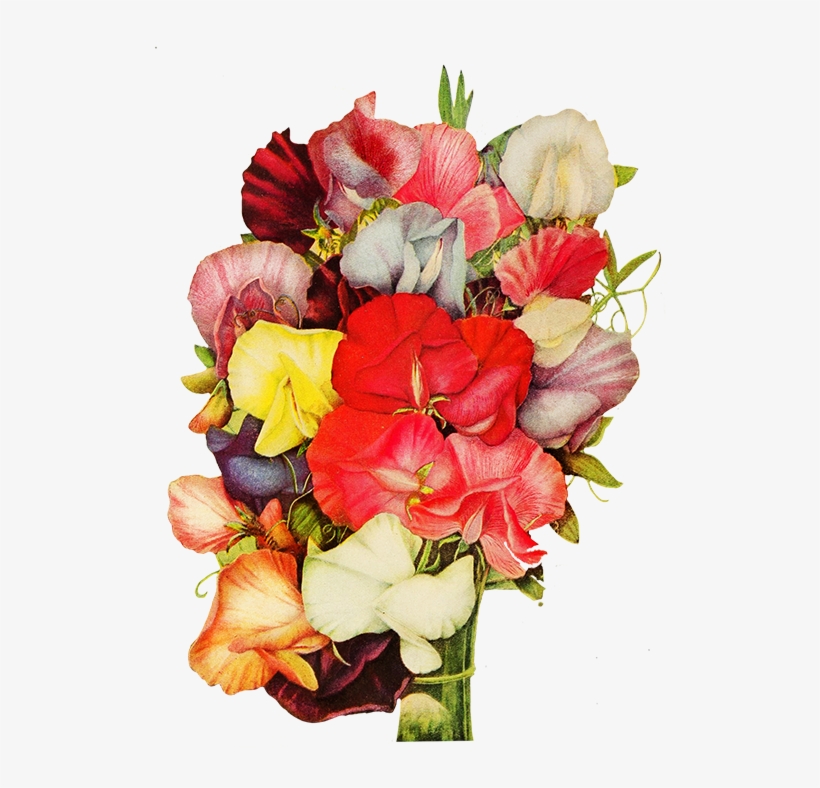 Corner With Pansy Flower - Flower, transparent png #1150778