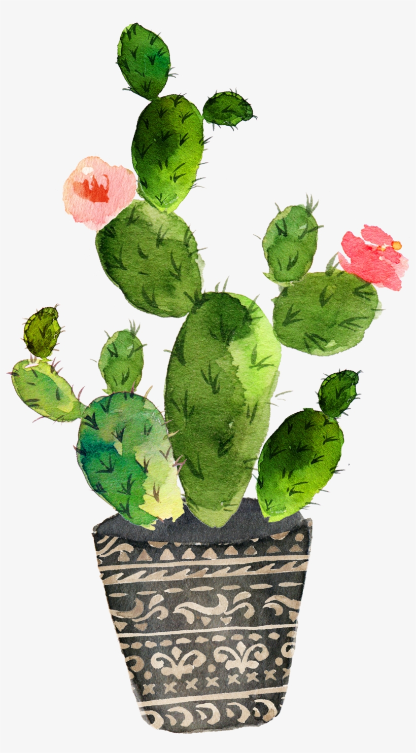 Cactaceae Painting Succulent Plant - Cactus Watercolor Transparent Background, transparent png #1150837