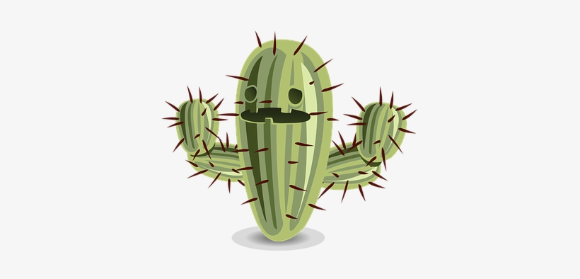 Cactus Prickly Nature Plant Green Desert T - Cactus Png, transparent png #1151359