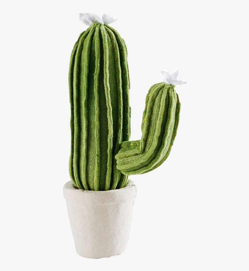 Cactus Laine, transparent png #1151408