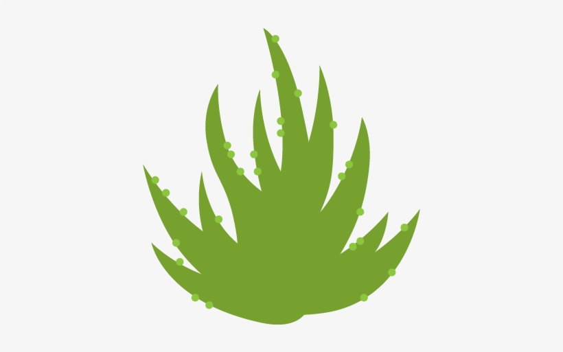 Airplant Wall Decal - Illustration, transparent png #1151905