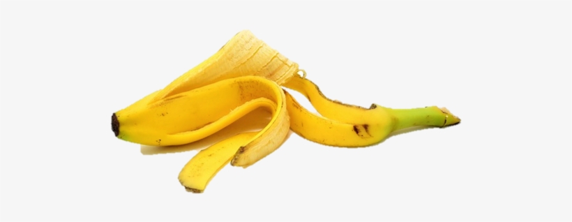 Risks Of A Transfer - Kulit Pisang, transparent png #1152389